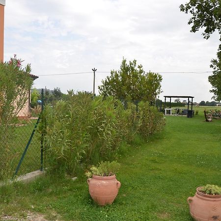 Il Nido Delle Rose Villa Castiglion Fiorentino Esterno foto